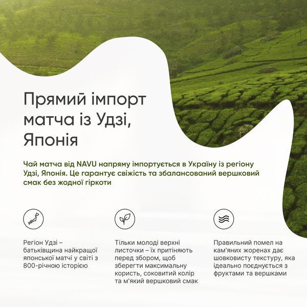 Матча Лате з ананасом на кукурудзяних вершках NAVU суха суміш без цукру 100г MLPAC100 фото